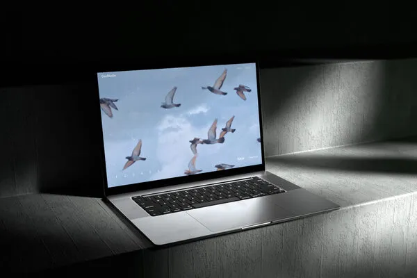 Laptop mit einem Hintergrundbild von fliegenden Vögeln auf einem dunklen Tisch. Der Bildschirm zeigt eine wolkige Himmelsszene, während der Laptop elegant und modern wirkt. Ideal für kreative Arbeitsumgebungen.